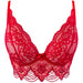 Sheer Lace Bra Red Lingerie