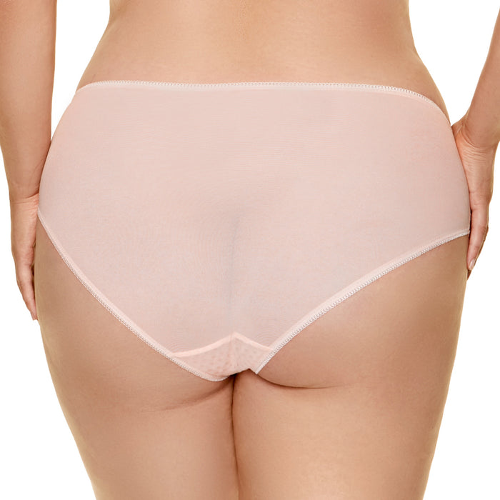Semi-Sheer Lace Bikini Panty Gorteks Bari plus size back view