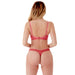Sexy Gossard Glossies Raspberry Sorbet Sheer Bra Mesh Thong Panty Red Lingerie Set 6271 & 6276 back view