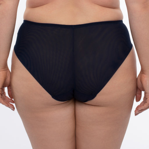 Sheer Mesh Tulle Embroidered Brief Panty Hazel Navy BLUE back view