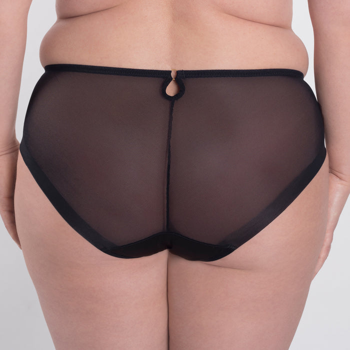 Sheer Mesh Tulle Embroidered Brief Panty Perla Black
