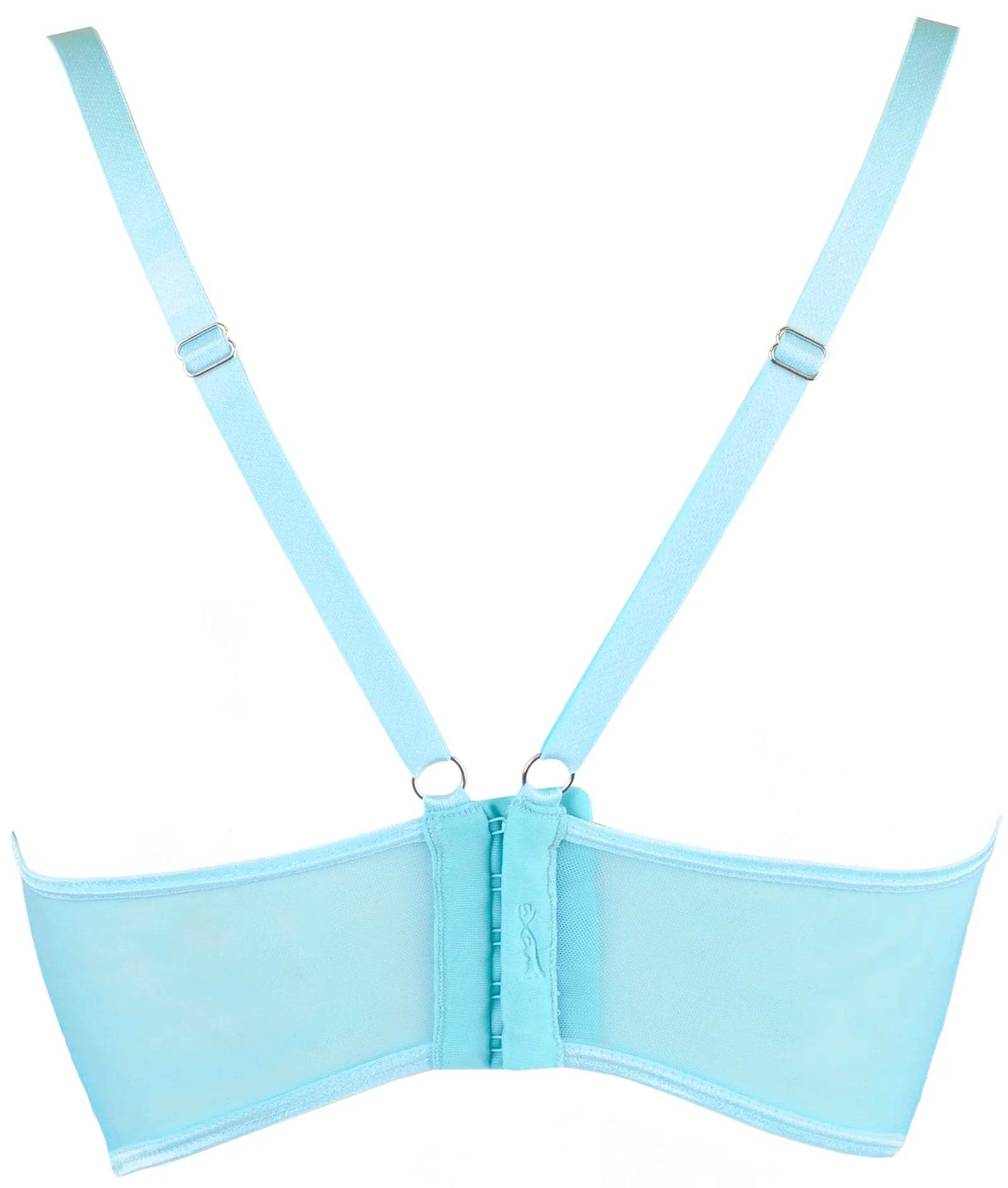 Sexy Sheer Deep Plunge Bra Axami Alice