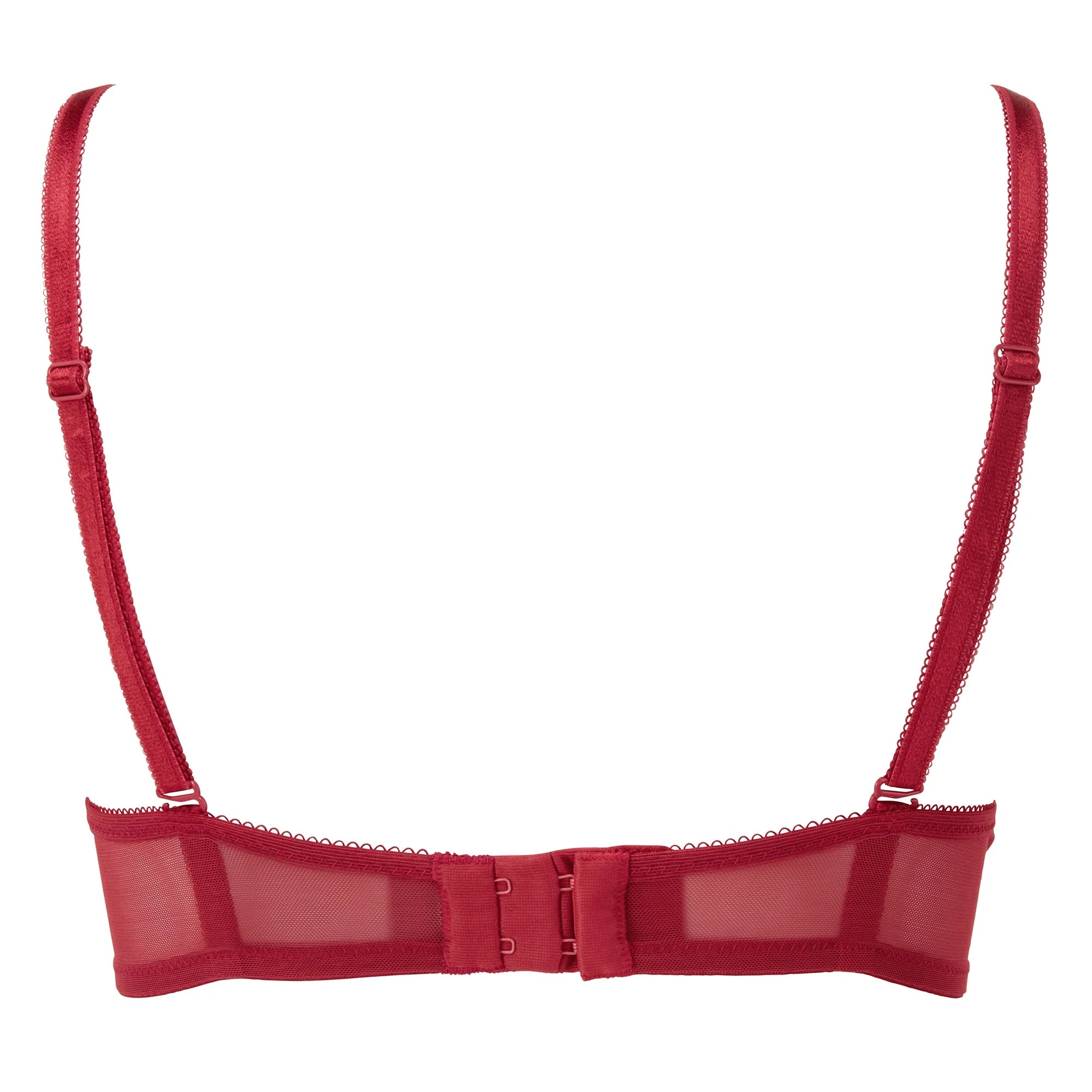 Back View Gossard bra