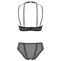 Sexy Sheer Demi Bra & Mesh Bikini Panty Intimate Set back view
