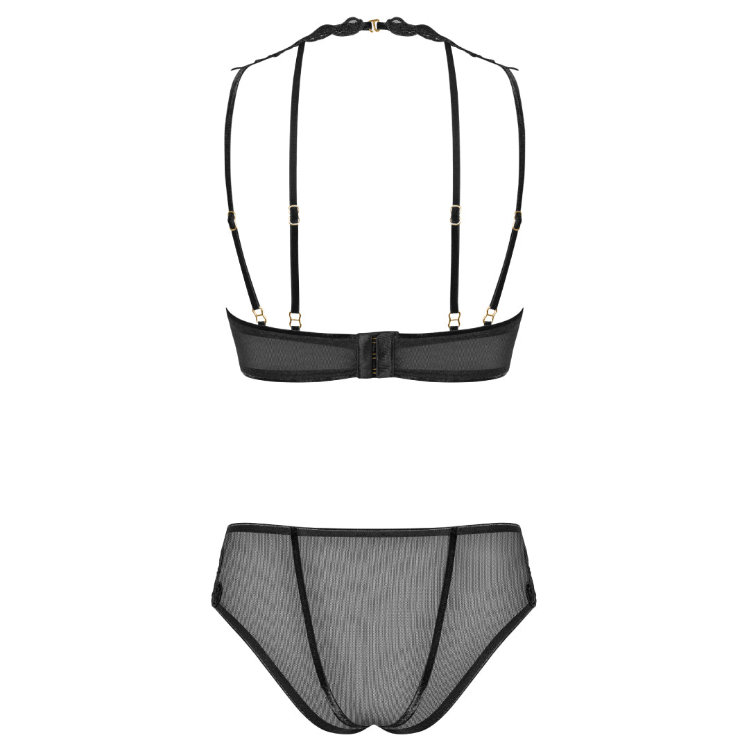 Sexy Sheer Demi Bra & Mesh Bikini Panty Intimate Set back view