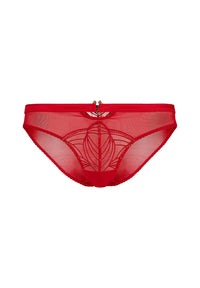 Flat lay of Gossard Red Embroidered Bikini Panties showing sheer front panel, gold accents, and floral embroidery for a luxury look.