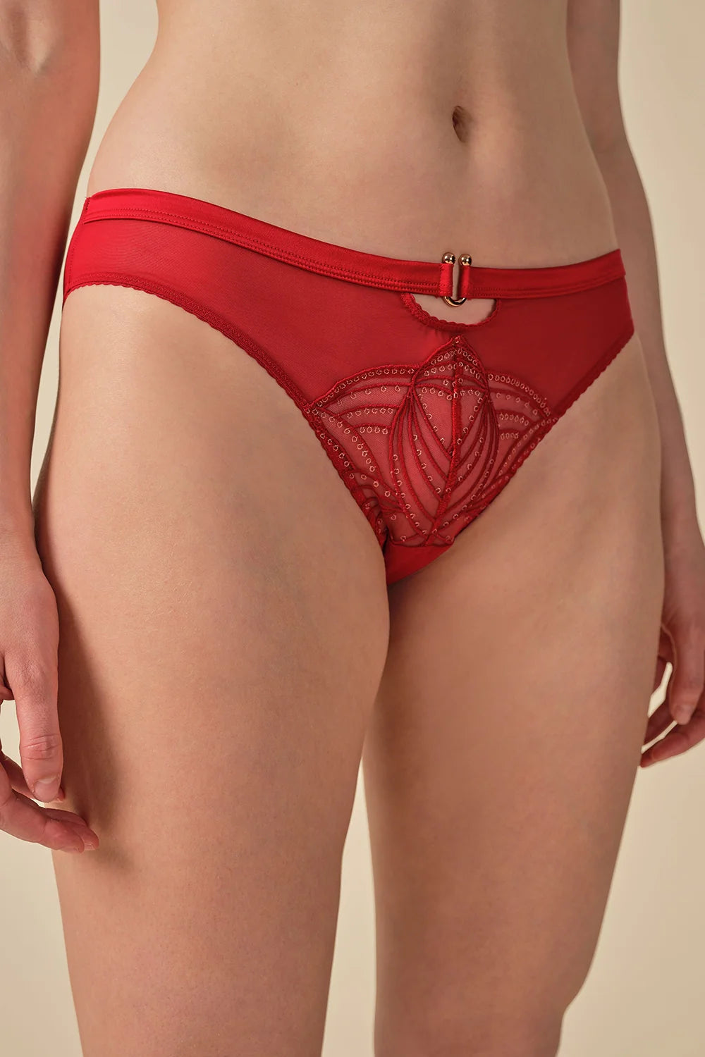 Gossard Bikini Panties - Embroidered Red with sheer front panel and gold accents, offering a luxurious and comfortable lingerie fit.