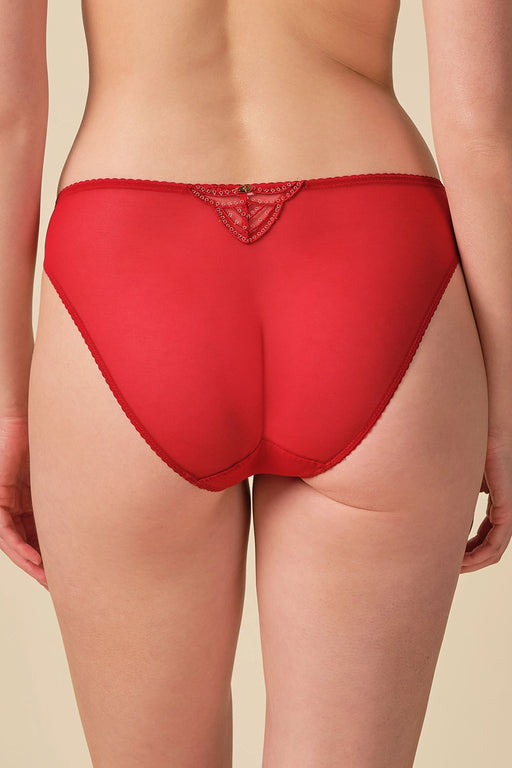 Back view of Gossard Embroidered Bikini Panties Red featuring smooth stretch fabric and delicate lace detail for a seamless finish.