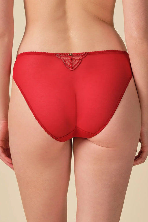 Back view of Gossard Embroidered Bikini Panties Red featuring smooth stretch fabric and delicate lace detail for a seamless finish.