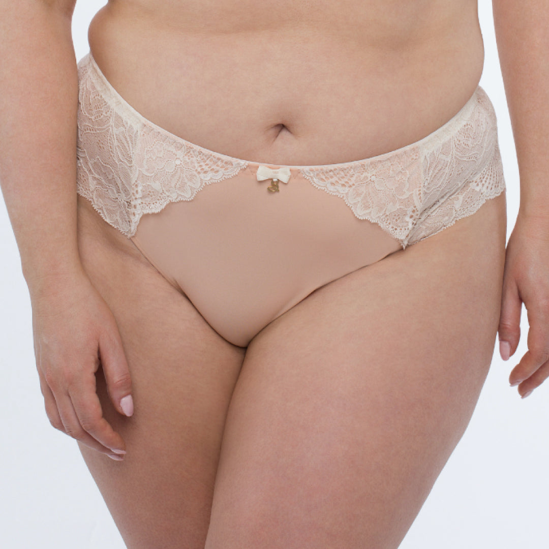 Sheer Mesh Tulle Embroidered Brief Panty Anabelle Beige Underwear