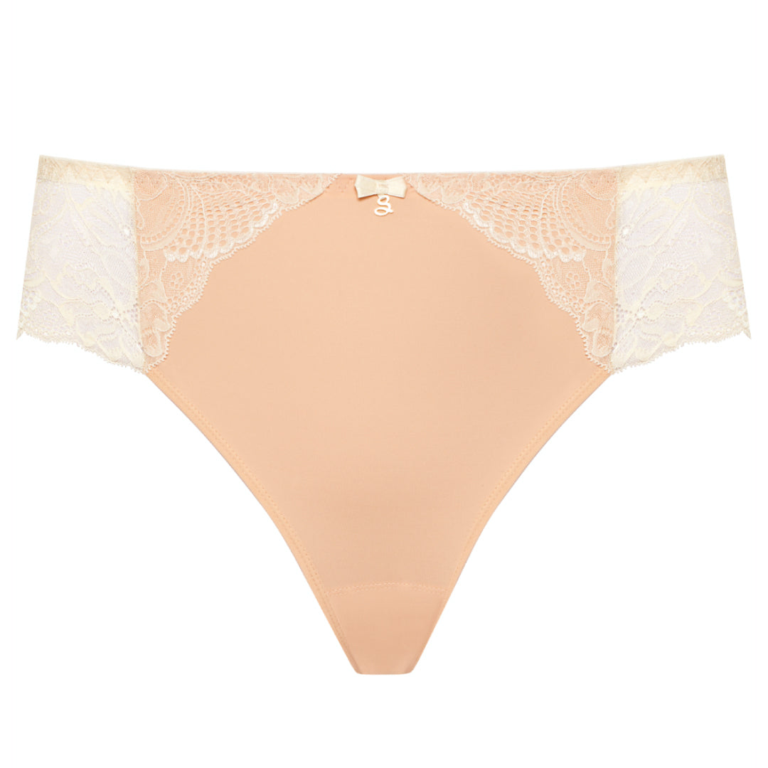 Sheer Mesh Tulle Embroidered Brief Panty Anabelle Nude Lingerie