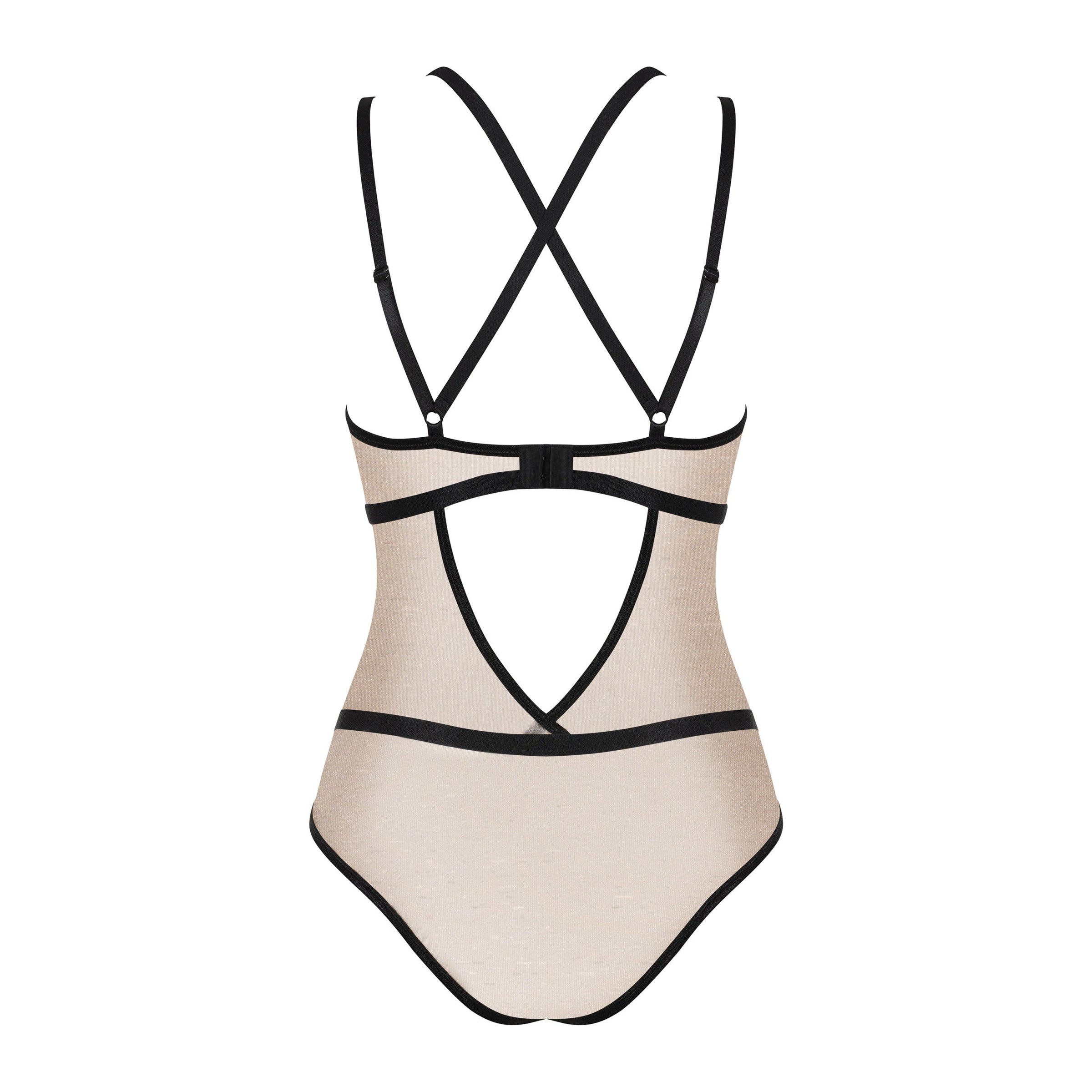 Transparent Teddy Obsessive Nudelia