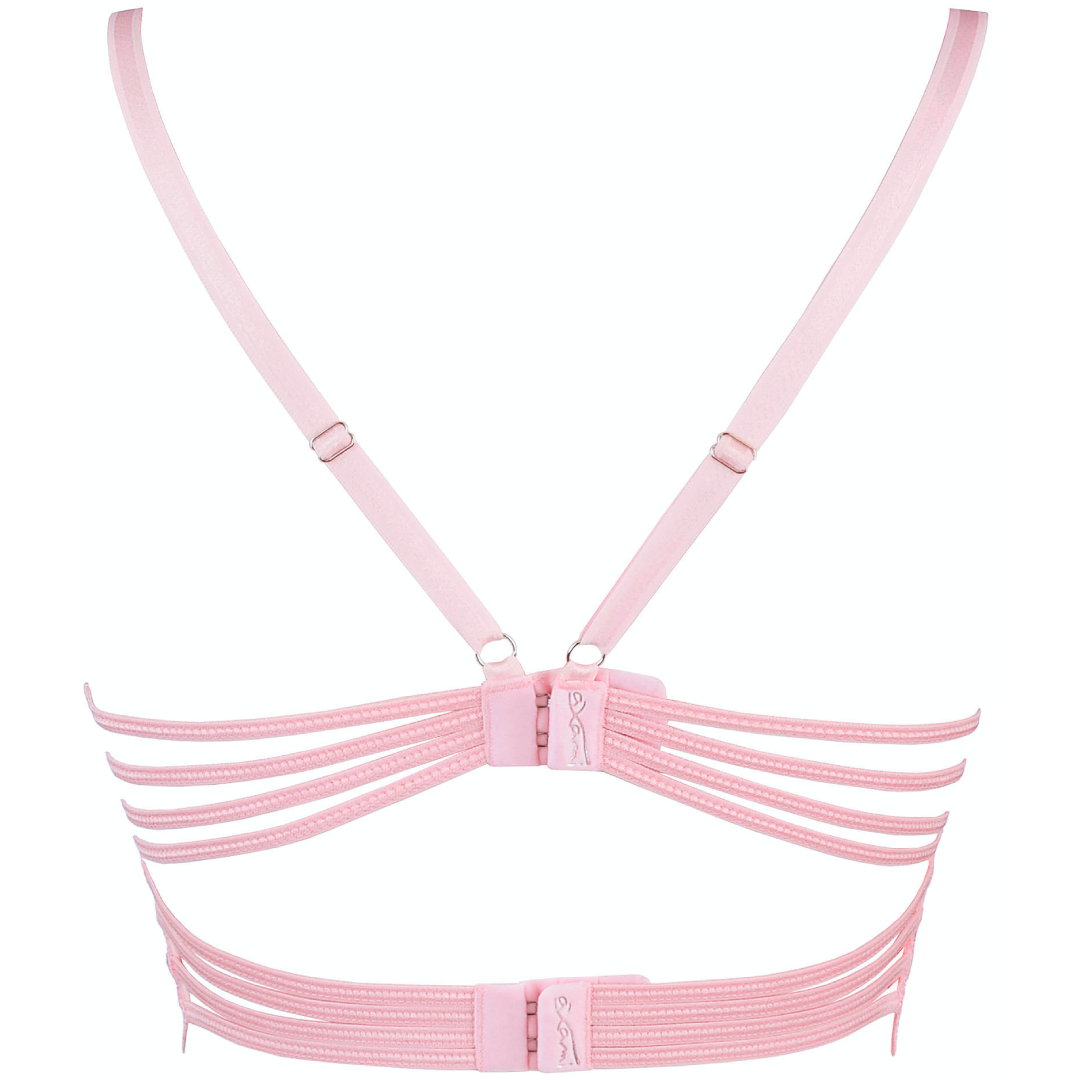 Sheer Longline Plunge Bra Pink back view