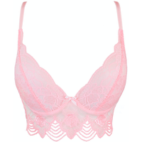 Sheer Longline Plunge Bra Pink Intimates