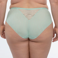 Sheer Mesh Brief Panty Green Underwear back view