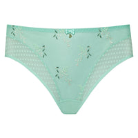 Sheer Mesh Tulle Brief Panty Green Underwear