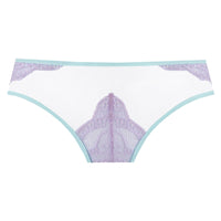 Transparent bikini Panty Sheer Mesh