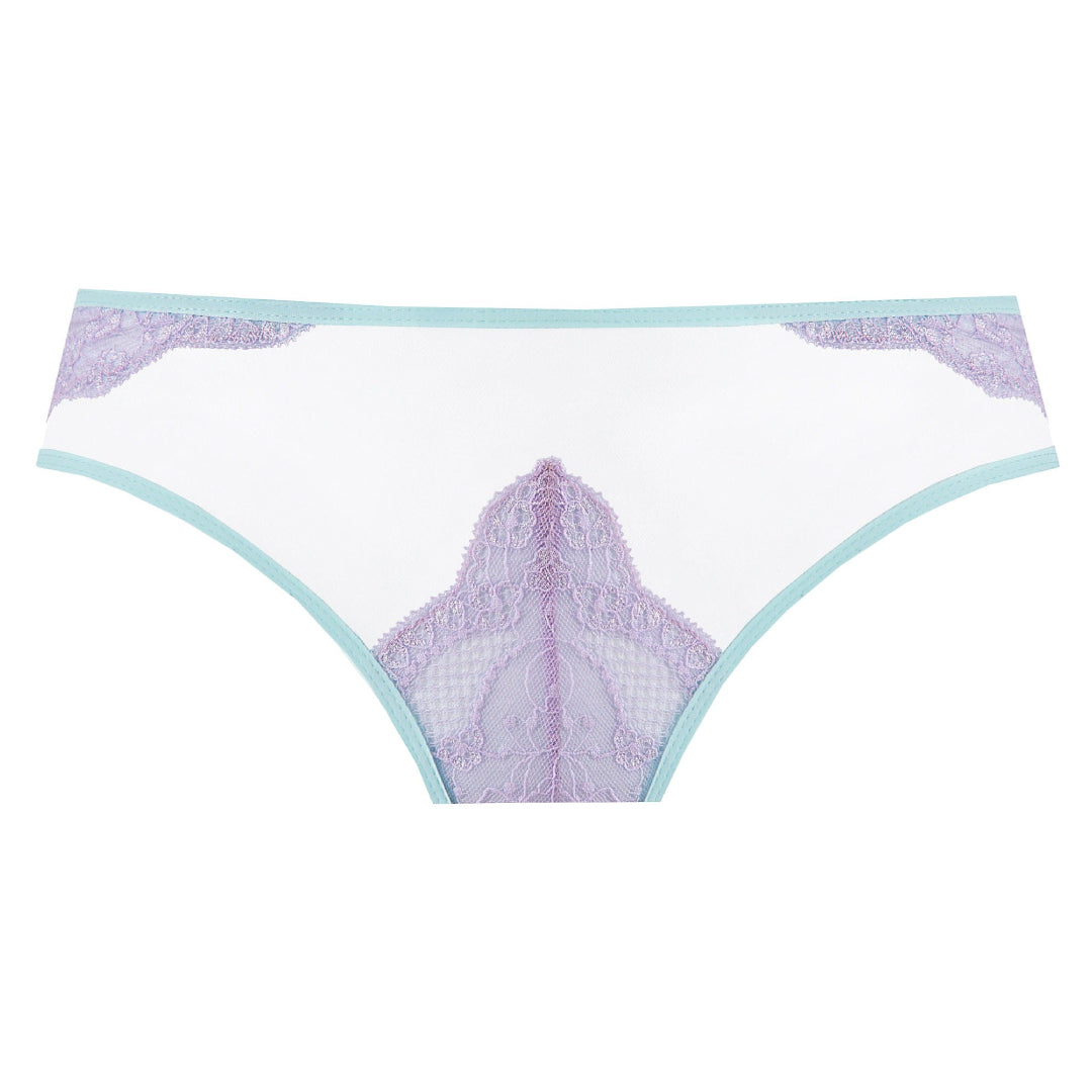 Transparent bikini Panty Sheer Mesh