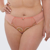 Sheer Mesh Tulle Bikini Panty Lea Pink Lingerie