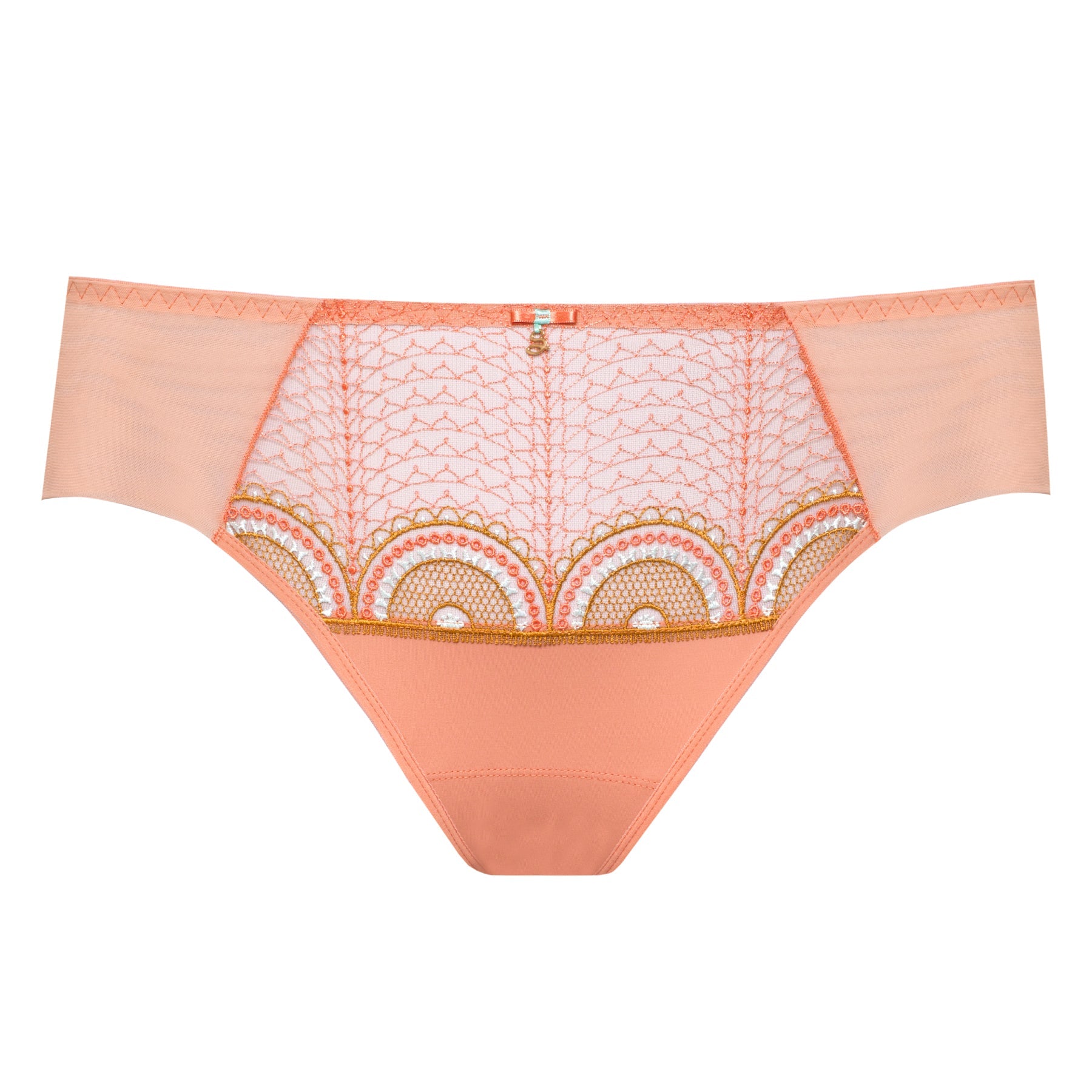 Sheer Mesh Tulle Bikini Panty Lea Pink Intimates