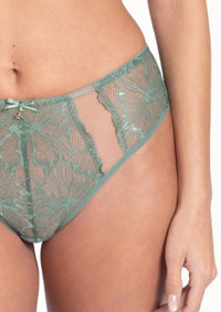 Green lace butterfly design brief panty
