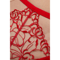 Sheer Mesh Thong Panty Gorteks Mistress