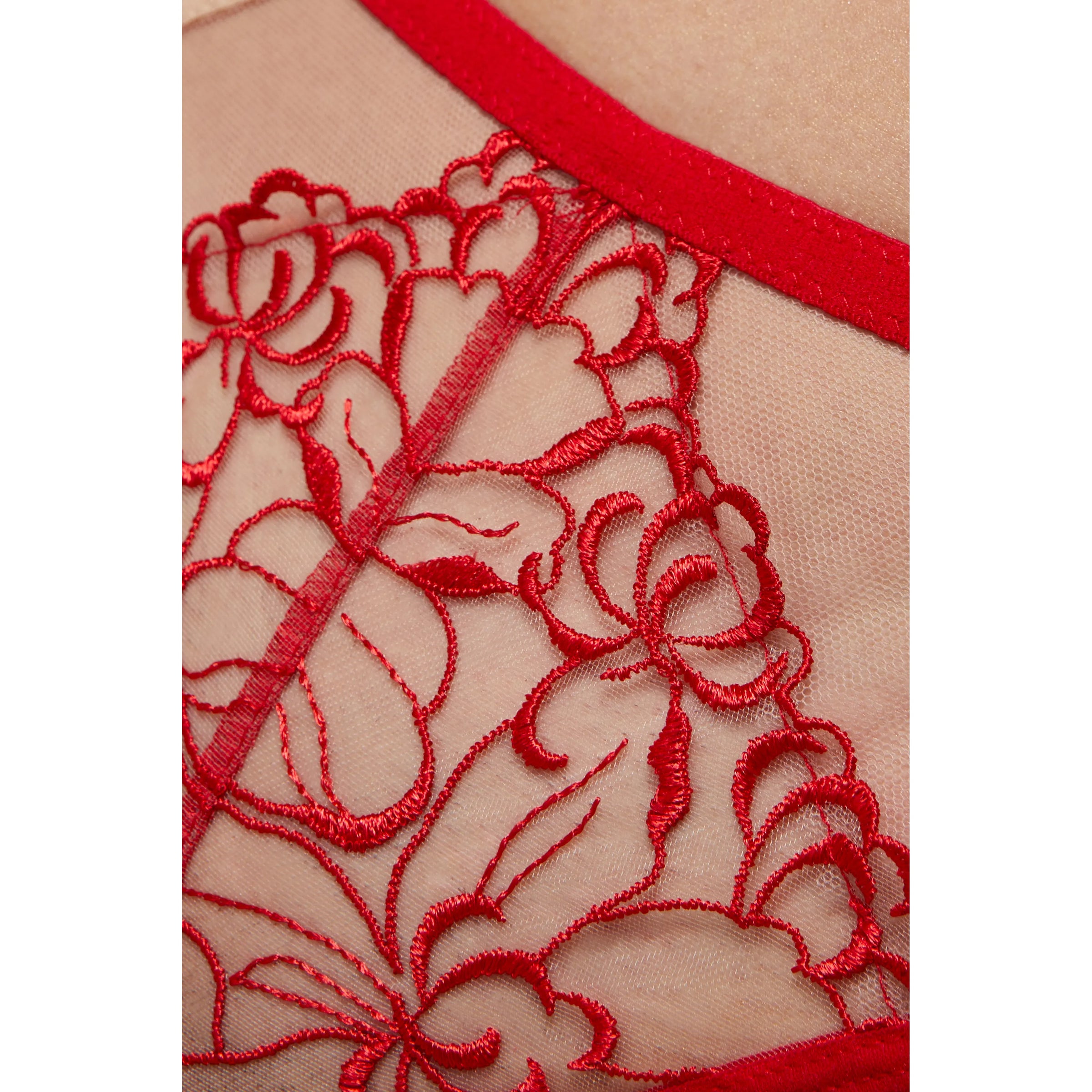 Sheer Mesh Thong Panty Gorteks Mistress