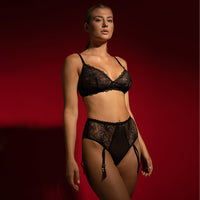 Sheer Mesh Polka Dot Tanga Garter Panty Nyks