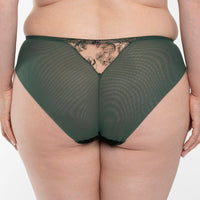Velvet Sheer Embroidered Brief Panty Ola