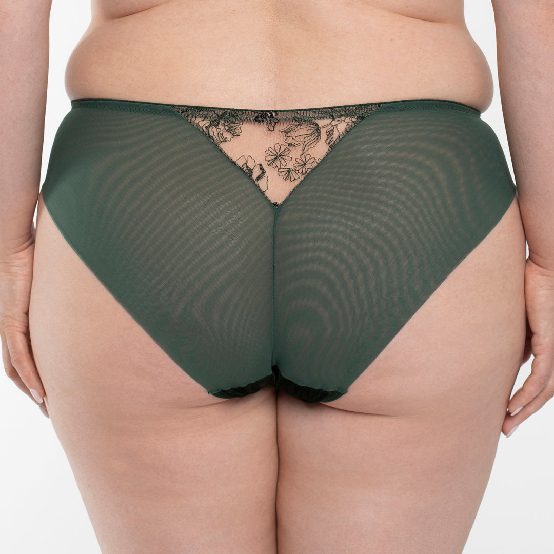 Velvet Sheer Embroidered Brief Panty Ola