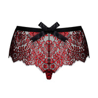 Sheer Seductive Lace Shorties Panty Obsessive Redessia