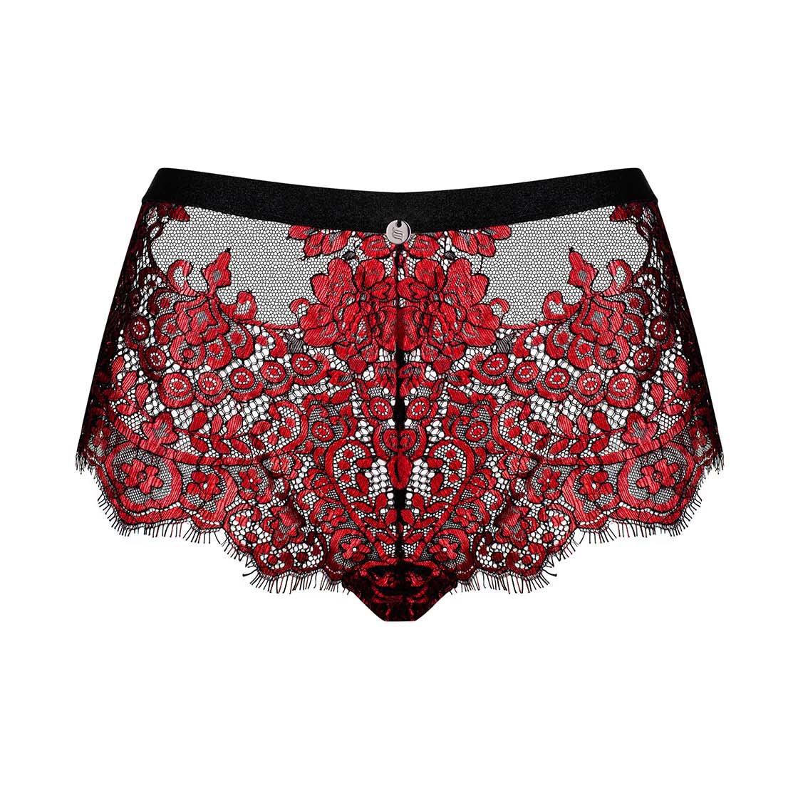 Sheer Seductive Lace Shorties Panty Obsessive Redessia
