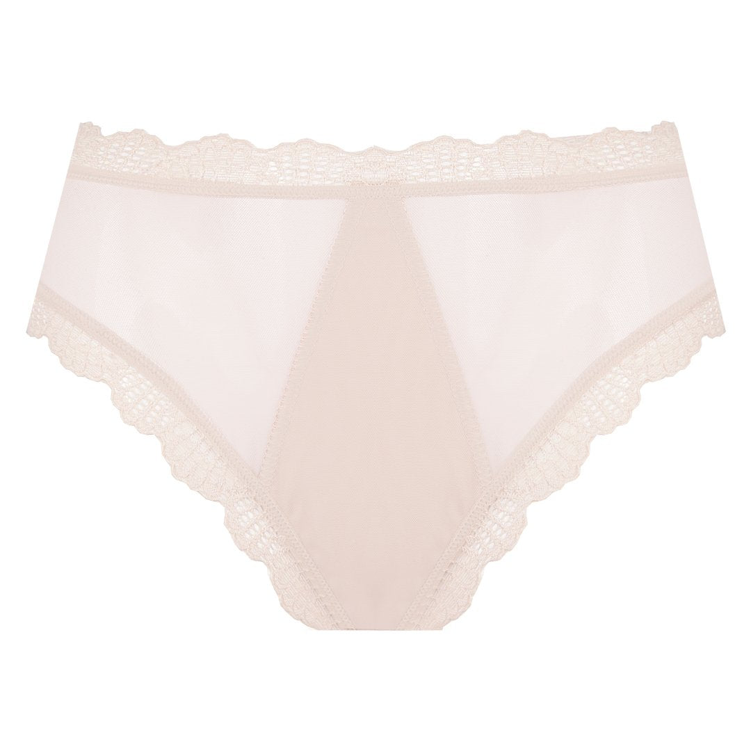 Sheer Mesh High Waist Brief Panty Pauletta