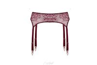 Sheer Garter Belt Lingerie
