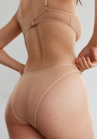 Blush The Mesh Bare Sheer High Leg Bikini Panty