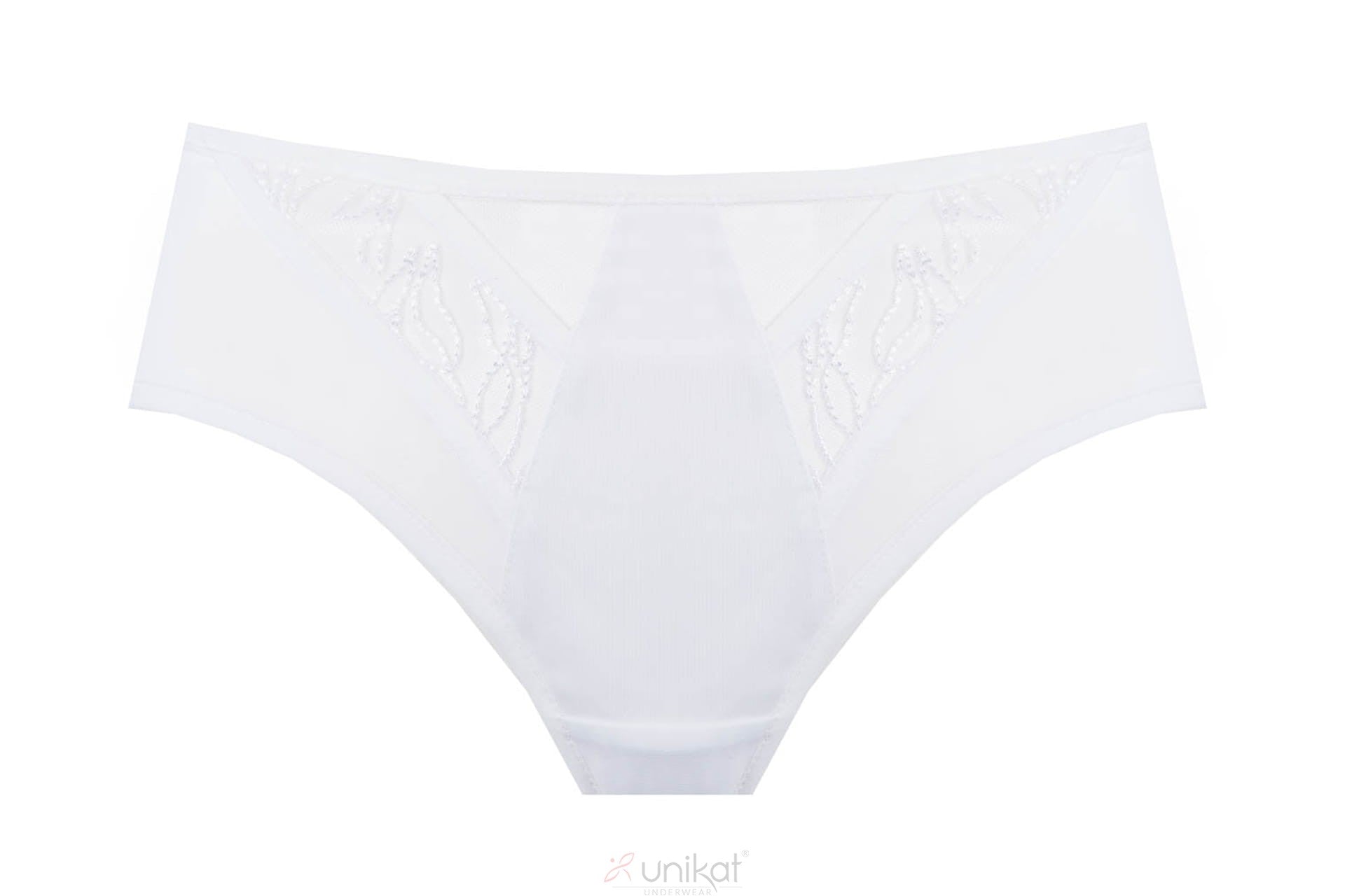 Sheer Mesh Low Rise Bikini Panty Virginia