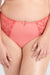 Sheer Mesh Tulle Embroidered High Brief Panty Coral Lavinia Lingerie featuring mid-rise fit and floral embroidery for a slimming silhouette.