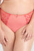 Sheer Mesh Tulle Embroidered High Brief Panty Coral Lavinia Lingerie featuring mid-rise fit and floral embroidery for a slimming silhouette.