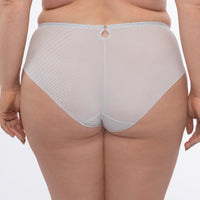 Sheer Mesh Brief Panty Sweet Gray Lingerie back view