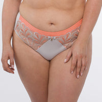 Sheer Mesh Tulle Embroidered Brief Panty Sweet Gray Pink Lingerie