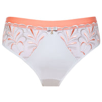 Sheer Mesh Tulle Embroidered Bikini Panty Sweet Gray Pink Intimate