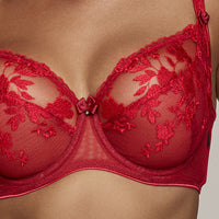Sheer Mesh Embroidery Underwire Bra Tango