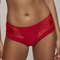 Semi Sheer Maxi Brief Panty Tango