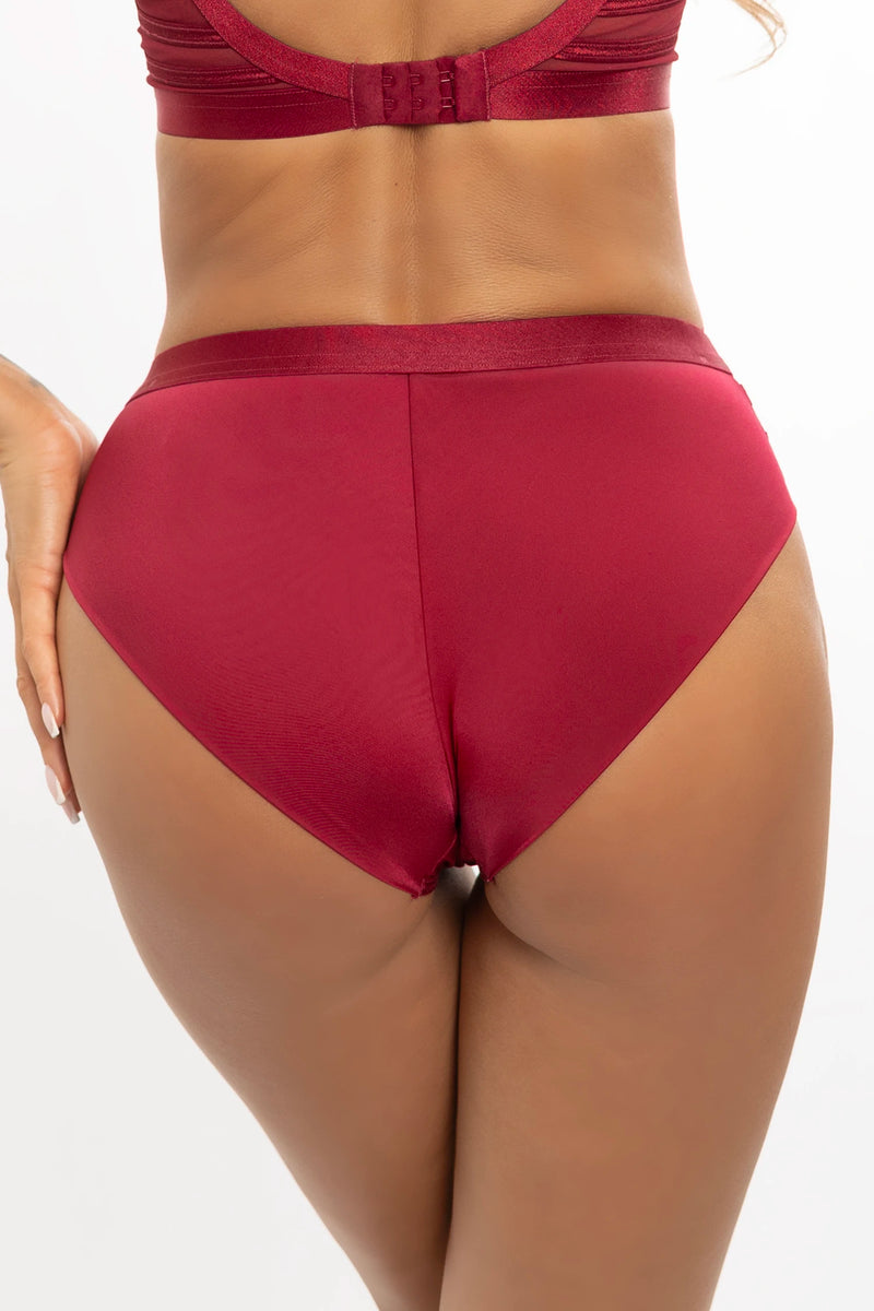 Back view of burgundy satin bikini panty with mesh panels