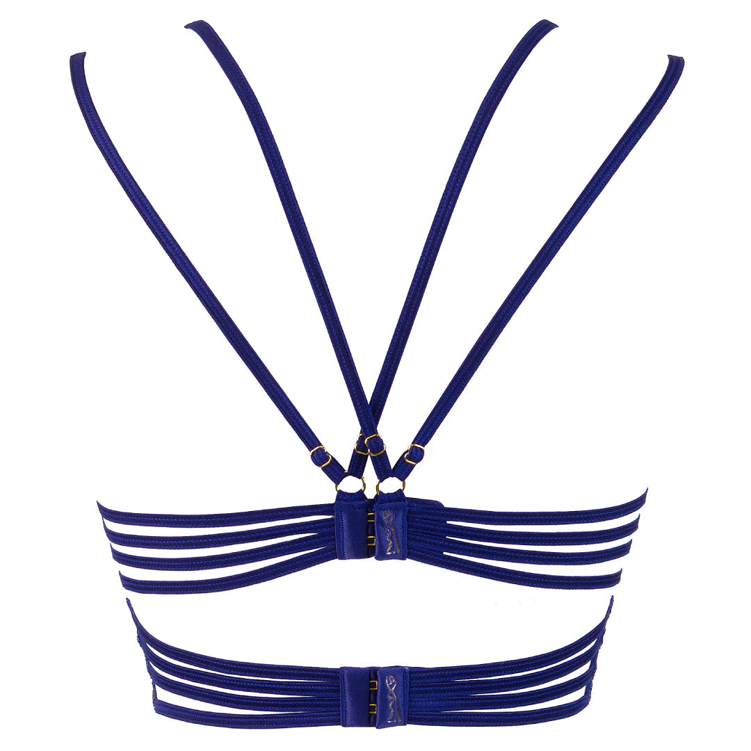 Sheer Lace Longline Bra back view