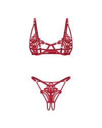 Close-up of red lace lingerie bra with intricate embroidery and matching thong, isolated on white background