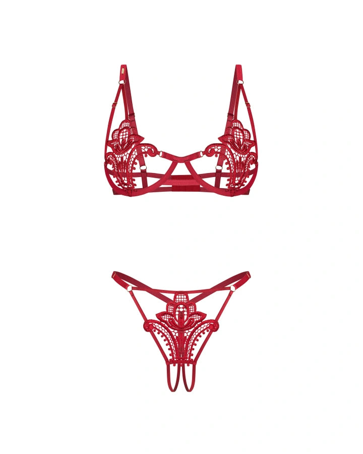 Close-up of red lace lingerie bra with intricate embroidery and matching thong, isolated on white background