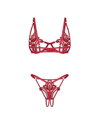 Close-up of red lace lingerie bra and matching string thong, back view