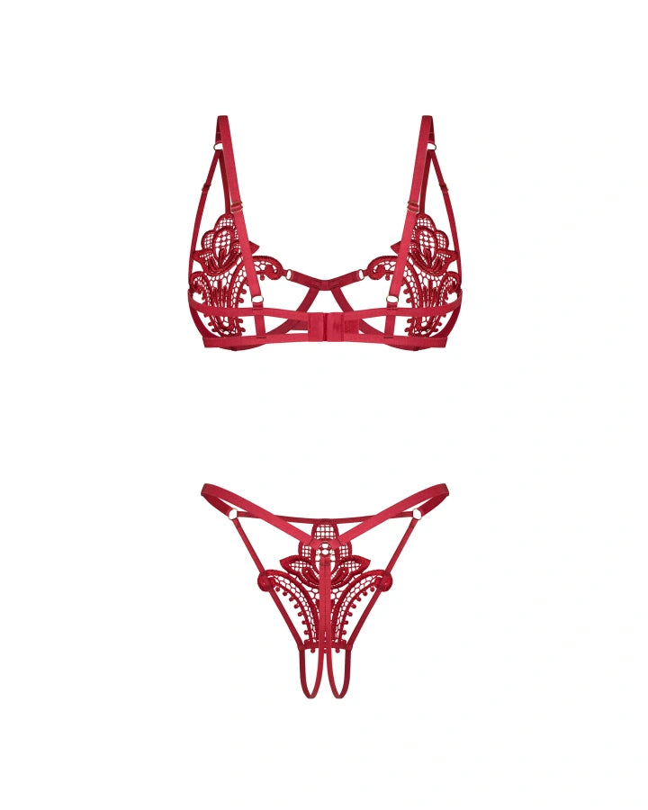 Close-up of red lace lingerie bra and matching string thong, back view