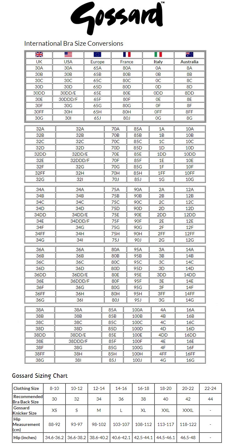 Gossard VIP Fleur de Nuit Black Sheer Thong Panty